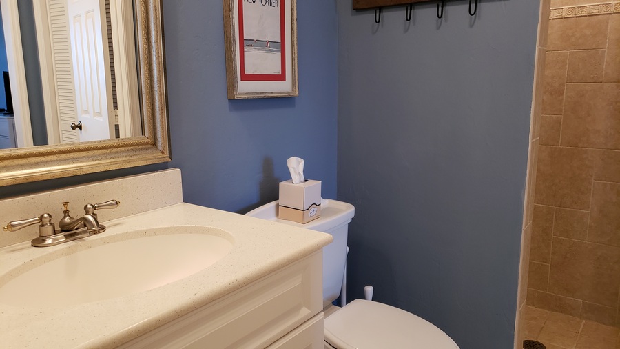 Guest King Bathroom